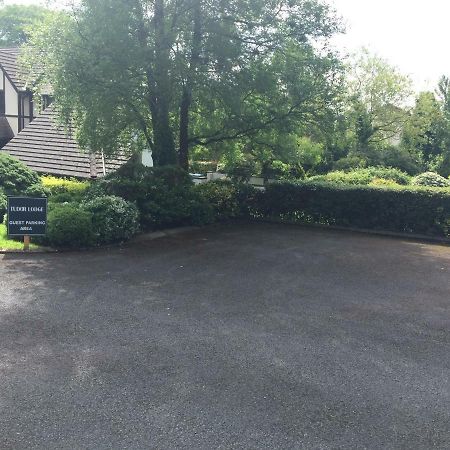 Tudor Lodge Guest Accommodation Bunratty Exterior foto