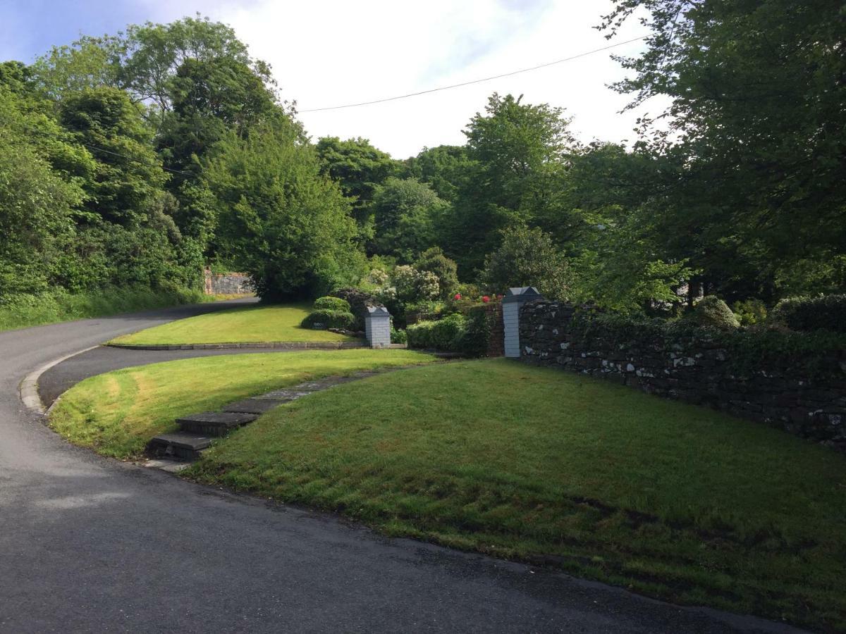 Tudor Lodge Guest Accommodation Bunratty Exterior foto